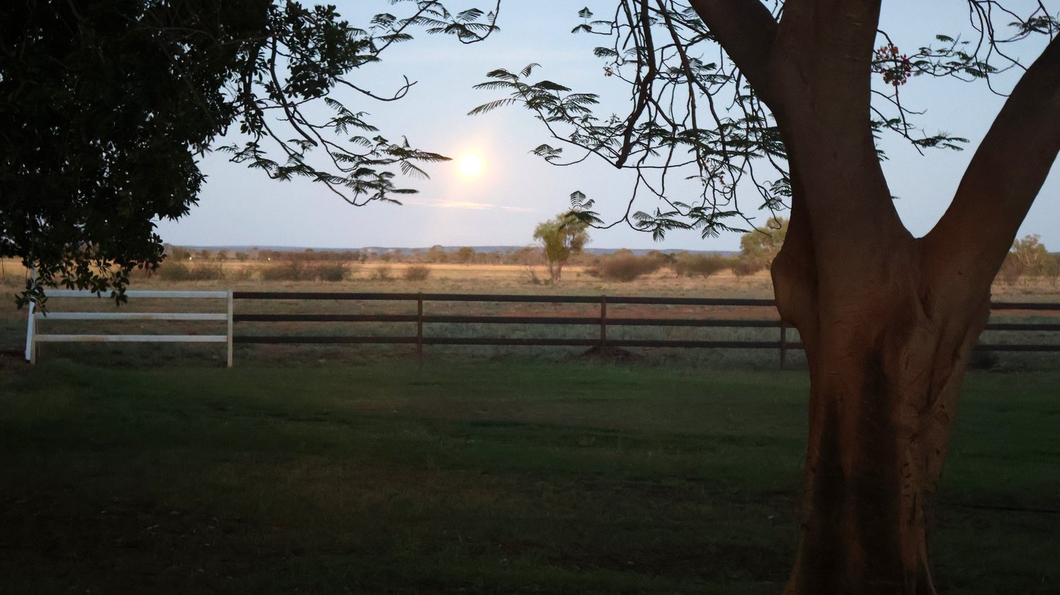 Moonrise over the paddocks at Budgerygar Station